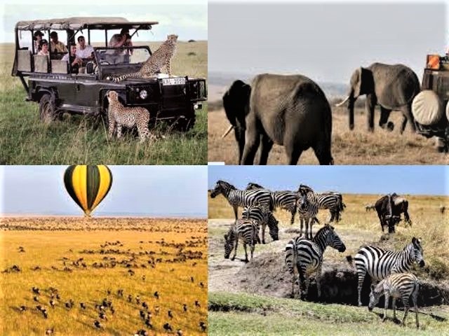 How to Go On A Safari to the Masai Mara