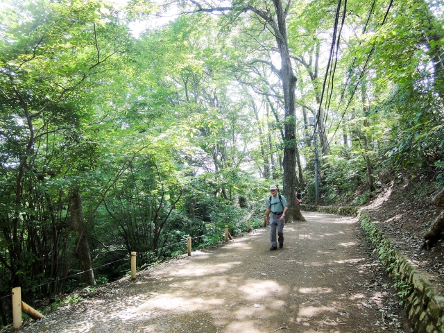 Trails in Manuel Antonio